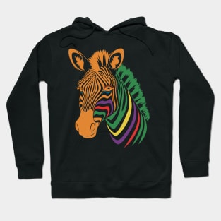 Color Zebra Hoodie